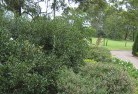 Altona Eastresidential-landscaping-35.jpg; ?>